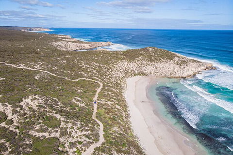 Small-Group Buggy Tour At Little Sahara With Guide - Accommodation Mooloolaba 4
