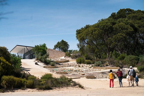 2-Hour Koala Walking Tour In Kangaroo Island - Accommodation Mooloolaba 3