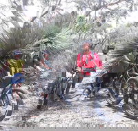 2 Hour Bike Tour in Kangaroo Island - Accommodation Mooloolaba