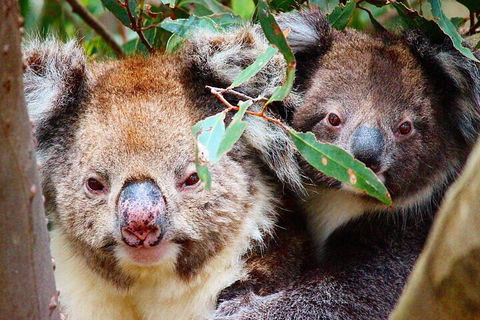 2 Hour Bike Tour In Kangaroo Island - Accommodation Mooloolaba 5