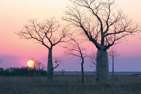 8-Day Outback Experience From Queensland - Accommodation Mooloolaba 5