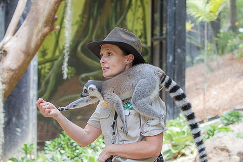 Currumbin Wildlife Sanctuary General Entry Ticket - Accommodation Mooloolaba 1