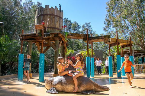 Currumbin Wildlife Sanctuary General Entry Ticket - Accommodation Mooloolaba 5