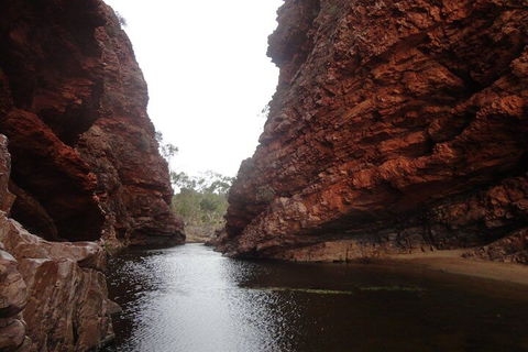 West MacDonnell Ranges Half - Day Tour - Accommodation Mooloolaba 4