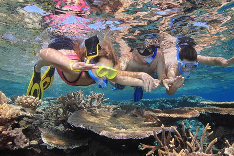 Calypso Outer Great Barrier Reef Cruise From Port Douglas - Accommodation Mooloolaba 3