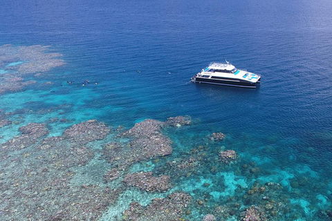 Calypso Outer Great Barrier Reef Cruise From Port Douglas - Accommodation Mooloolaba 4
