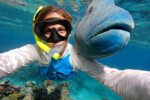 Calypso Outer Great Barrier Reef Cruise From Port Douglas - Accommodation Mooloolaba 5