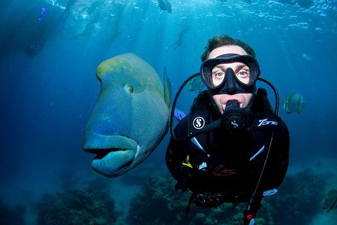 Full Day Reef Cruise Including 10 Minute Heli Scenic Flight: Get High Package - Accommodation Mooloolaba 1