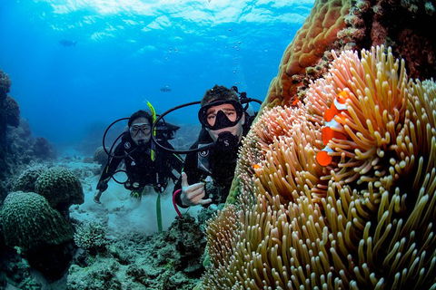 Full Day Reef Cruise Including 10 Minute Heli Scenic Flight: Get High Package - Accommodation Mooloolaba 5