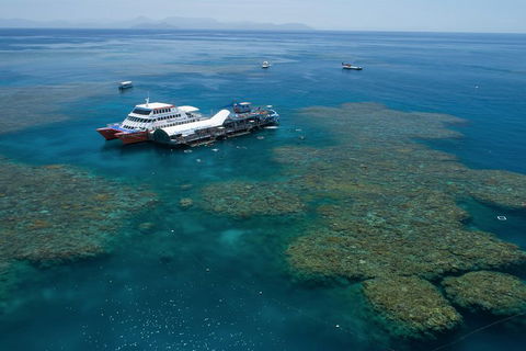 Cruise To Moore Reef Pontoon And Return Helicopter Flight From Cairns - Accommodation Mooloolaba 0