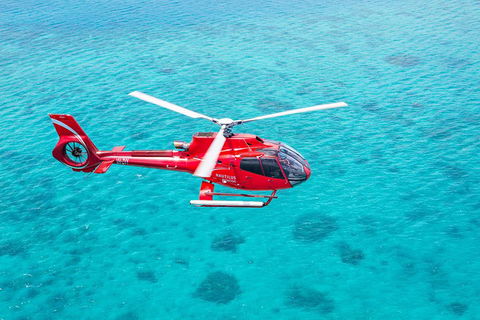 Cruise To Moore Reef Pontoon And Return Helicopter Flight From Cairns - Accommodation Mooloolaba 1