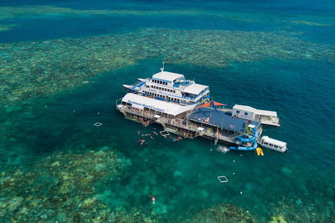 Cruise To Moore Reef Pontoon And Return Helicopter Flight From Cairns - Accommodation Mooloolaba 2