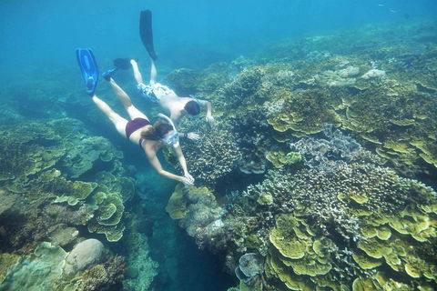 Cruise To Moore Reef Pontoon And Return Helicopter Flight From Cairns - Accommodation Mooloolaba 3