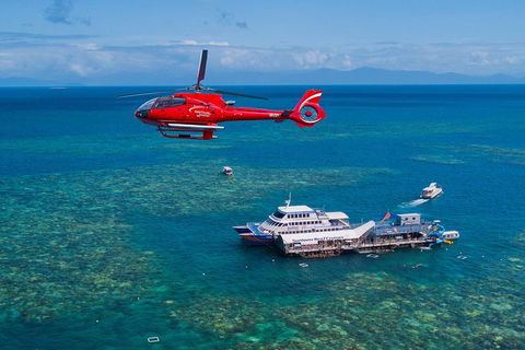 Cruise To Moore Reef Pontoon And Return Helicopter Flight From Cairns - Accommodation Mooloolaba 4