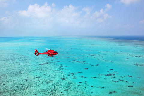 Port Douglas Scenic Flights - Accommodation Mooloolaba 0