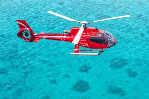 Port Douglas Scenic Flights - Accommodation Mooloolaba 2