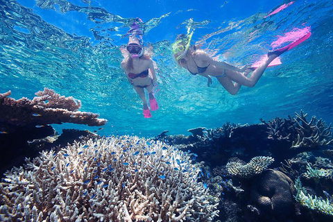 Cruise Out And Cruise Return, Plus 10 Minute Scenic Flight - Accommodation Mooloolaba 5