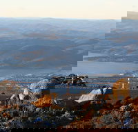 Mt. Wellington Bonorong and Richmond Day Tour from Hobart - Accommodation Mooloolaba