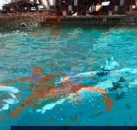 Moreton Island Snorkel and Sandboarding 4WD Day Trip from Brisbane - Accommodation Mooloolaba