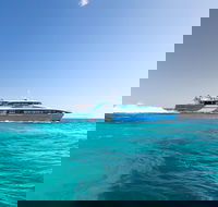 Rottnest Island All-Inclusive Grand Island Tour from Fremantle - Accommodation Mooloolaba