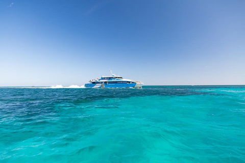 Rottnest Island Bike & Ferry Package From Fremantle - Accommodation Mooloolaba 0