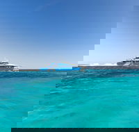 Rottnest Island Fortress Adventure Segway Package from Fremantle - Accommodation Mooloolaba