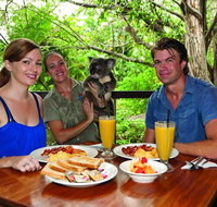 Breakfast with the Koalas at Hartley's Crocodile Park from Cairns or Palm Cove - Accommodation Mooloolaba