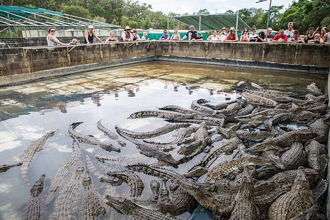 Hartley's Crocodile Adventures Day Trip From Palm Cove - Accommodation Mooloolaba 0