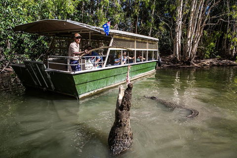 Hartley's Crocodile Adventures Day Trip From Palm Cove - Accommodation Mooloolaba 2