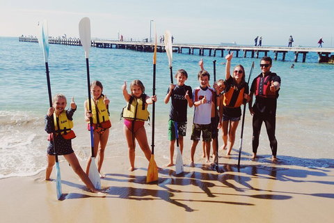Mornington Peninsula Kayak Coastline Tour Of Dolphin Sanctuary - Accommodation Mooloolaba 3