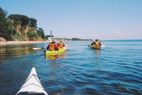 Mornington Peninsula Kayak Coastline Tour Of Dolphin Sanctuary - Accommodation Mooloolaba 5
