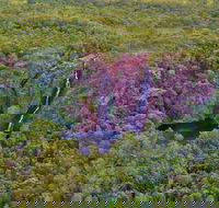 Litchfield Park  Daly River - Scenic Flight From Darwin - Accommodation Mooloolaba