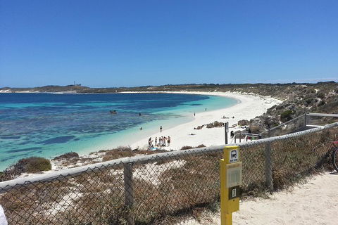 Wave Rock, Pinnacles And Rottnest One Day Aeroplane Tour - Accommodation Mooloolaba 2
