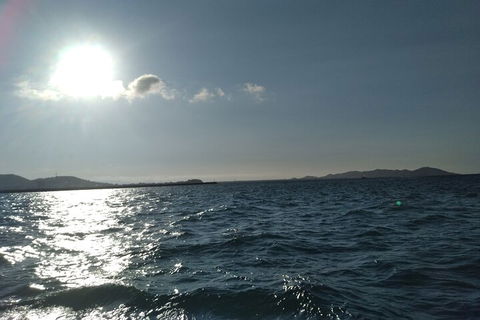 Townsville Small Group Early Morning Sailing Cruise Boat Tour Charter Hire - Accommodation Mooloolaba 4