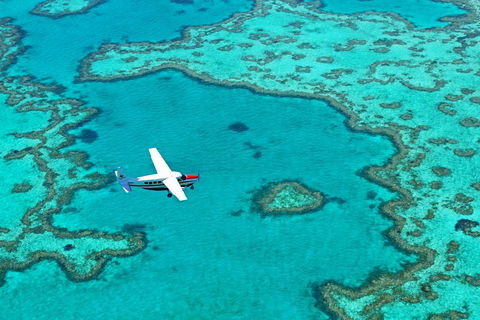Reef And Island Scenic Flight From Airlie Beach - Accommodation Mooloolaba 4