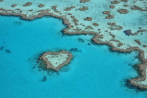 Reef And Island Scenic Flight From Airlie Beach - Accommodation Mooloolaba 5