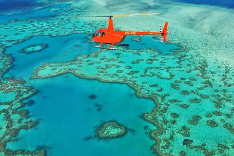 Whitehaven Heli Tour - Accommodation Mooloolaba 3