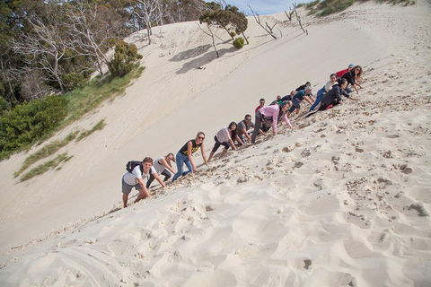 6-Day Tasmanian Explorer Adventure Tour From Hobart - Accommodation Mooloolaba 2