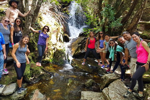 7-Day Super Value Tour Of Tasmania: Explore Tasmania's West And East Coasts - Accommodation Mooloolaba 2