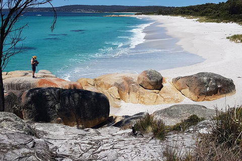 2-Day Tas East Coast Escape Tour Including Bay Of Fires, Wineglass Bay & Devils - Accommodation Mooloolaba 4