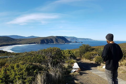 4-Day Fabulous Tasmania Tour: Wineglass Bay, Port Arthur, Devils & Bruny Island - Accommodation Mooloolaba 0