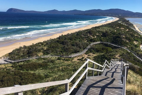 4-Day Fabulous Tasmania Tour: Wineglass Bay, Port Arthur, Devils & Bruny Island - Accommodation Mooloolaba 5