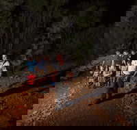 Alice Springs Desert Park Nocturnal Tour - Accommodation Mooloolaba