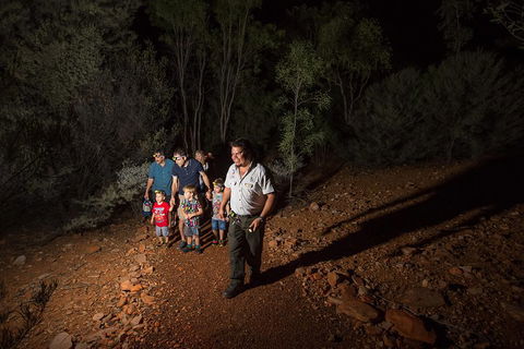 Alice Springs Desert Park Nocturnal Tour - Accommodation Mooloolaba 0