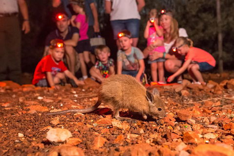 Alice Springs Desert Park Nocturnal Tour - Accommodation Mooloolaba 1