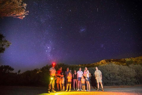 Alice Springs Desert Park Nocturnal Tour - Accommodation Mooloolaba 2