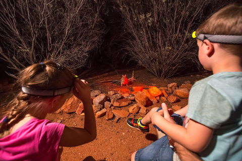 Alice Springs Desert Park Nocturnal Tour - Accommodation Mooloolaba 4