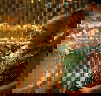 The Perth Mint Guided Heritage Tour and Gold Pour - Accommodation Mooloolaba