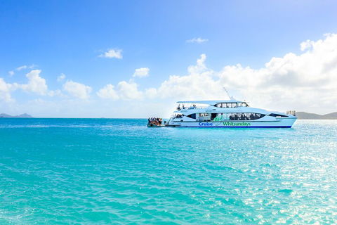 Whitehaven Beach And Daydream Island Cruise - Accommodation Mooloolaba 2