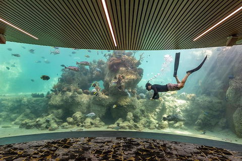 Whitehaven Beach And Daydream Island Cruise - Accommodation Mooloolaba 4